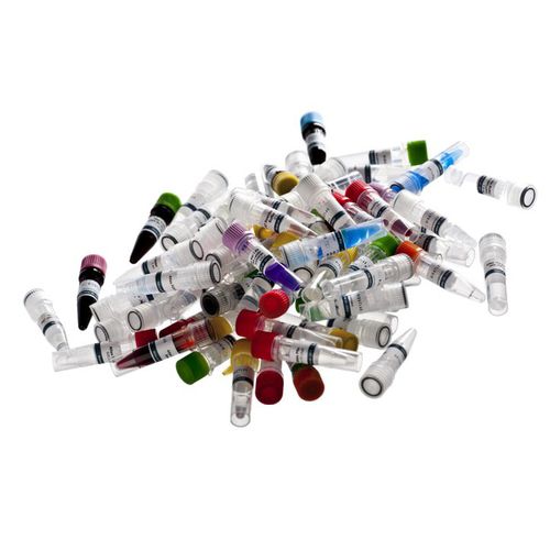 DNA-Polymerase-Reagenz - Atlas Taq - BioAtlas - für Forschungszwecke / für PCR / für DNA-Sequenzierung