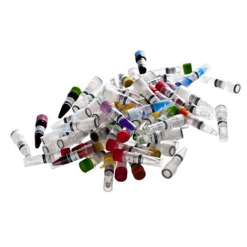 DNA-Polymerase-Reagenz - Atlas Pfu - BioAtlas - für Forschungszwecke / für PCR