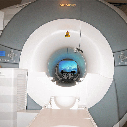 Augenmessgerät für IRM - EyeLink 1000 Plus - SR Research - Desktop / Video
