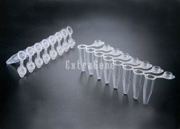 Entnahmeröhrchen für PCR - P-02X8-CF - ExtraGene,Inc. - mit konischem Boden / Polypropylen