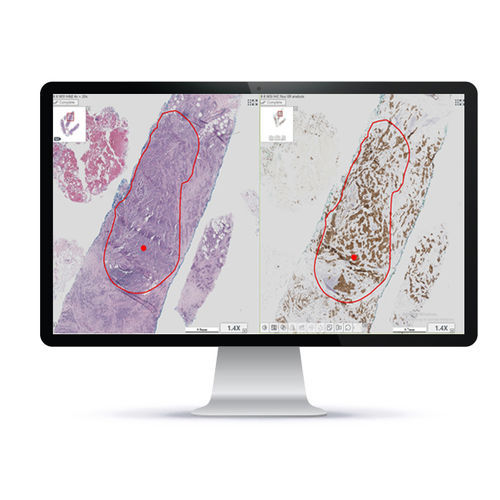 Automatisches Zell-Imaging-System - HiPath Pro™ - Applied Spectral Imaging - Labor / Gewebe
