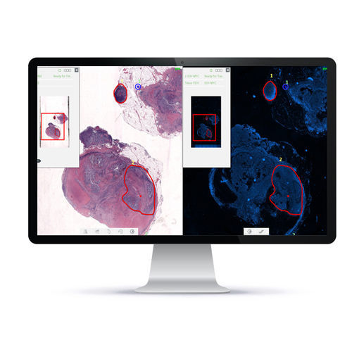 Automatisches Zell-Imaging-System - PathFusion™ - Applied Spectral Imaging - Labor / Diagnose / Gewebe