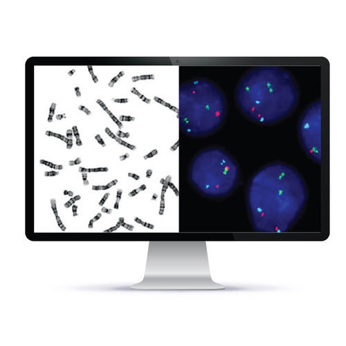 Automatisiertes Zell-Imaging-System - CytoPower™ - Applied Spectral Imaging - Labor / Zytogenetisch / FISH