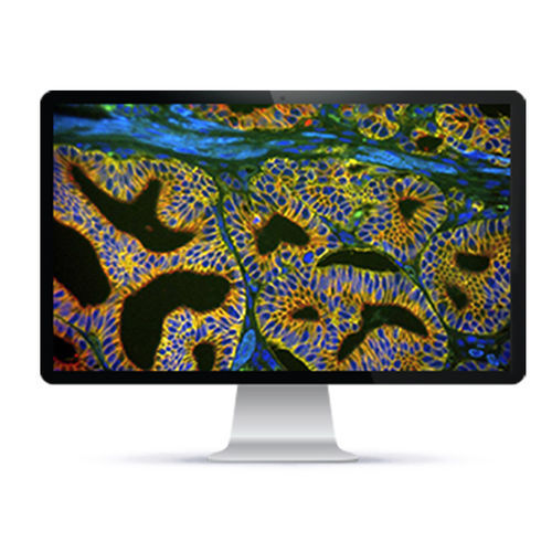 Automatisches Zell-Imaging-System - Rainbow™ - Applied Spectral Imaging - Labor / für Kliniken / Fluoreszenz