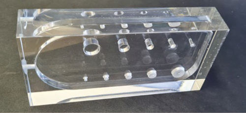 Testphantom für Ultraschalluntersuchungen - WILLIAMS - Bright Technologies - Bri-Tec - Lungen