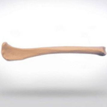 Anatomisches Modell / Tibia - 0812.00 - SYNBONE AG - Chirurgie / für Veterinärmedizin / für die Ausbildung