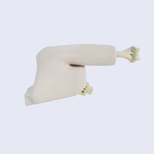Anatomisches Modell / Knochen - LSH5760.1 - SYNBONE AG - Gelenk / Humerus / Schulter