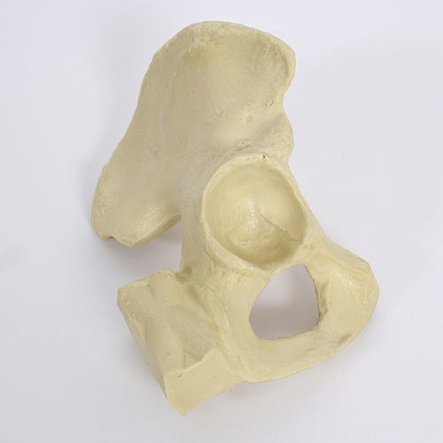 Anatomisches Modell / Hemi-Pelvis - PR0735 - SYNBONE AG - Gelenk / Hüfte / Chirurgie