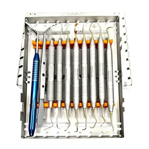 Zahnchirurgie-Instrumentenset - LDP-3895 - Lenox Instrumentation