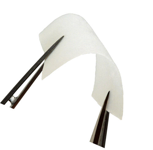 Zahnchirurgie-Matrix - CollaGuide™ - Curasan - Collagenbeschichtung