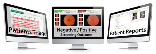 Software / Früherkennung der diabetischen Retinopathie - EyeArt ® - Eyenuk, Inc. - Analyse / Management / Reporting