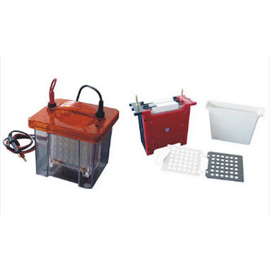 Vertikale Elektrophoresekammer - AE-verBLOT - AE Lab.Ltd