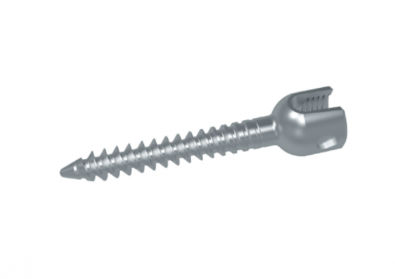 Monoaxiale Pedikelschraube - HG series - HankilTech Medical - Metall