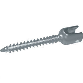 Polyaxiale Pedikelschraube - HG-B5 series - HankilTech Medical - Metall