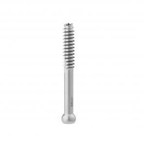 Osteotomieschraube für Knöchel - HankilTech Medical - für Tibia / für Oberschenkelknochen / für Femurkondylus