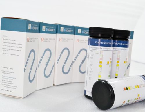 Nierenkrankheiten-Teststreifen - URS-12F - Bioway Biological Technology Co.,Ltd - Harnwegsinformationen / für Infektionskrankheiten / pH