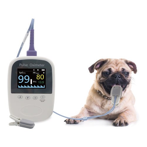 Pulsoximeter für Tiere - BM1000A-I - Shanghai Berry Electronic Tech Co.,Ltd - Handgerät / für die Tierforschung / für Veterinärmedizin