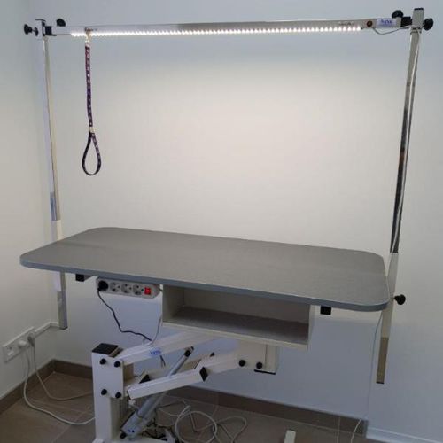 Hub-Trimmtisch - JE-04e	 - EVG - EdenVetGroom - elektrisch