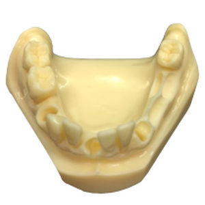 Anatomisches Modell / Kiefer - DM – 115-2 - Selmodels SL - für Zahnchirurgie / für Implantologie
