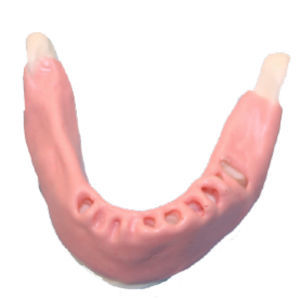 Anatomisches Modell / Knochen - DM – 308 - Selmodels SL - Unterkiefer / für Zahnchirurgie / Näh