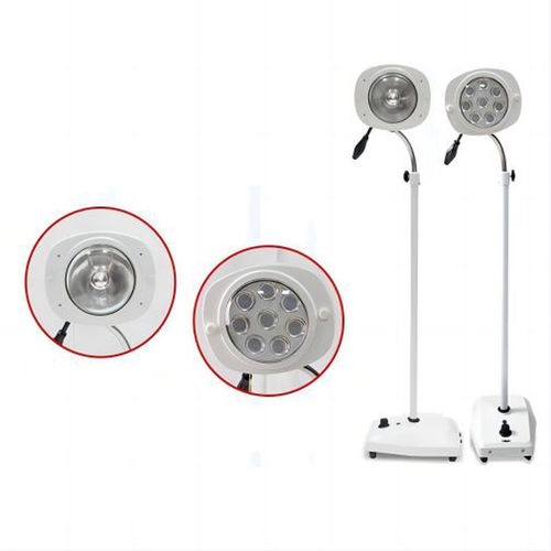 Untersuchungsleuchte für Veterinärmedizin - JD1300  - Nanchang Micare Medical Equipment - für Zahnmedizin / für Vaginalspekulum / für chirurgische Instrumente