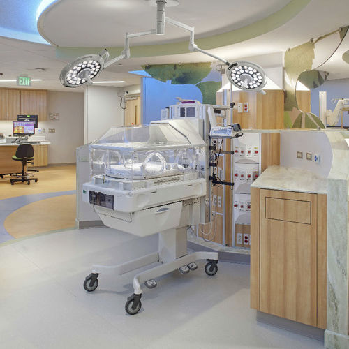 Deckenmontierte OP-Leuchte - JD1800  - Nanchang Micare Medical Equipment - LED / Dental / für Veterinärmedizin
