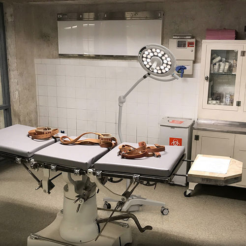 Lampe für Kleineingriffe / Allgemeinmedizin - JD1800L - Nanchang Micare Medical Equipment - für Veterinärmedizin / für Zahnmedizin / Notfall