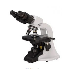 Optisches Mikroskop - BM-1000 - U-Therm International (H.K.) Limited - Labor / für Forschungszwecke / biologisch