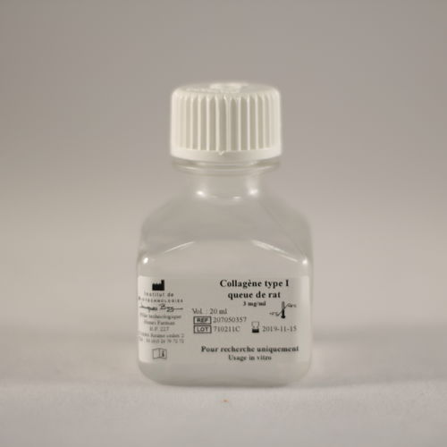 Collagenbeschichtungs-Reagenz - TYPE I QUEUE DE RAT - Institut de Biotechnologies Jacques Boy - für Forschungszwecke / für Zellkultur / für Zelladhäsion