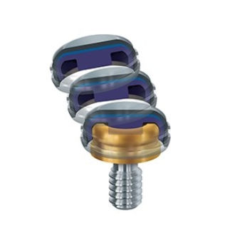Implantat-Abutment / Titan - Zest Dental Solutions - mit Innenverbindung / gerade / Schrauben