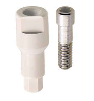 Implantat-Abutment / PEEK - WINSCAN® - BioSAF IN - gerade