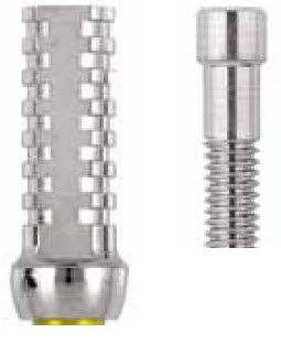 Implantat-Abutment / Titan - WINSIX®  - BioSAF IN - mit Außenverbindung / gerade