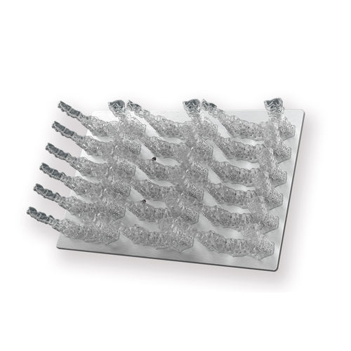 Orthodontisches zahnmedizinisches Material - ZSLM24TR001 - UNIZ - transparent / biokompatibel