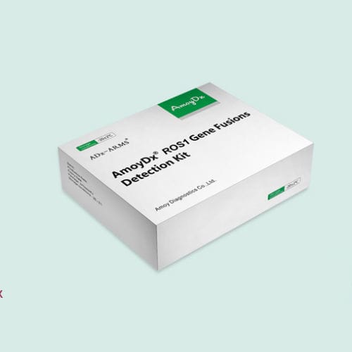 Lungenkrebs-Testkit - LCMRO02 - LCM Genect srl - Onkologie / EGFR-Mutationen / BRAF-Mutationen