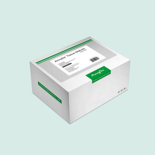 FFPE-Gewebe-Testkit - LCMTI01 - LCM Genect srl - für Kliniken / für DNA / für RNS