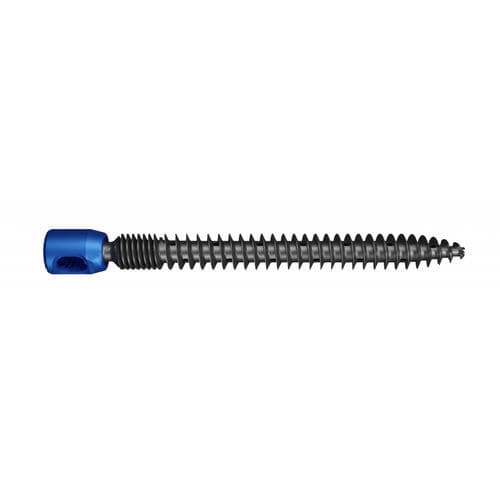Ilio-sakrales Stabilisierungssystem für Osteosynthese - polyphem® Plus - Maxxspine Innovative - dorsaler Zugang / für Erwachsene
