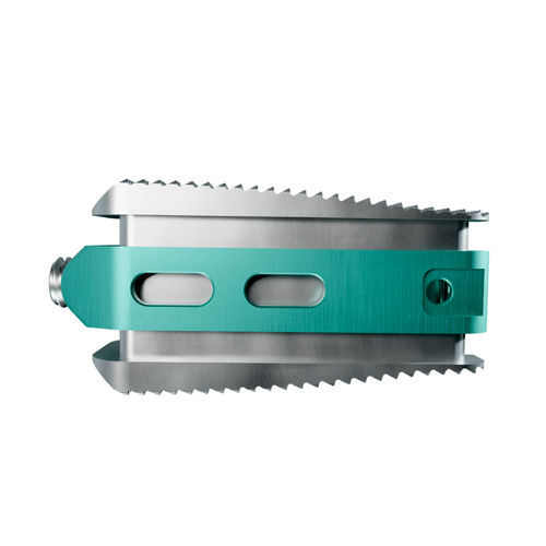 LWS-Zwischenwirbelimplantat - Maxxspine Innovative - dorsaler Zugang / erweiterbar