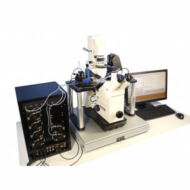 Automatisches Patch-Clamp-System - PatchServer - Multi Channel Systems
