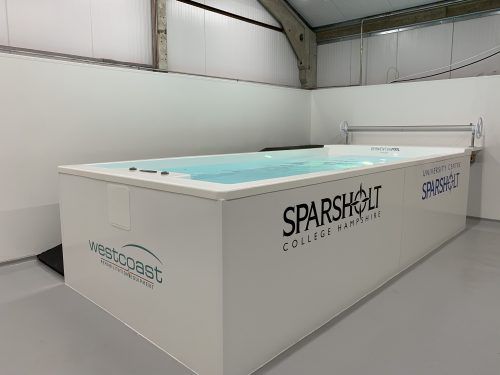 Bodenstehendes Schwimmbecken für Rehabilitation - Derwent  - Westcoast Hydrotherapy - für Veterinärmedizin