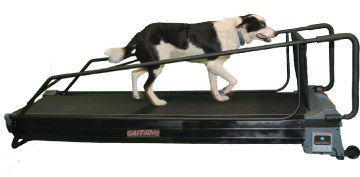 Veterinär-Laufband / für Hunde - PRO DogTread® with Gait4Dog - DogTread