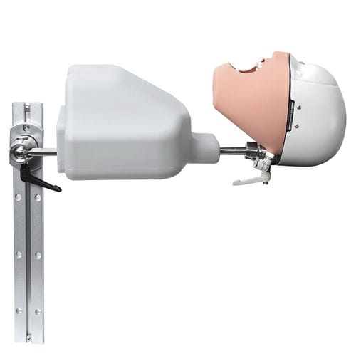 Dental-Trainingspuppe - JG-C9 - FOSHAN JINGLE MEDICAL EQUIPMENT CO., LTD - für die Ausbildung / Kopf / Puppenset