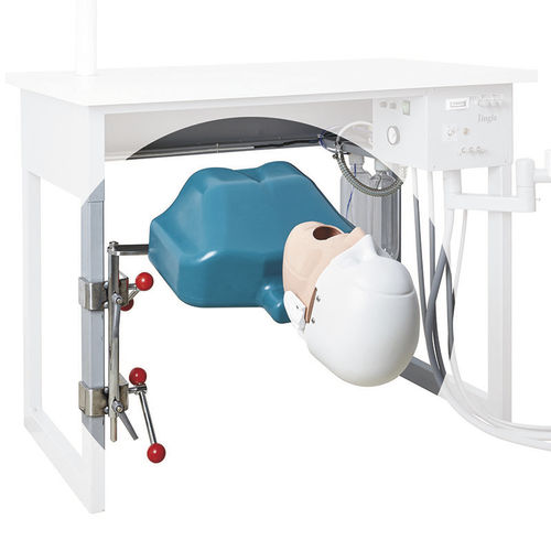 Trainingspuppe für Zahnbehandlung - JG-C7 - FOSHAN JINGLE MEDICAL EQUIPMENT CO., LTD - Kopf / tragbar