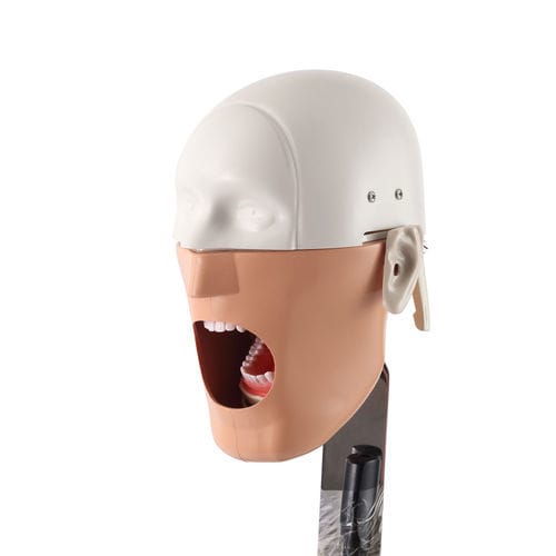 Trainingspuppe für Zahnbehandlung - JG-C3 - FOSHAN JINGLE MEDICAL EQUIPMENT CO., LTD - Dental / für die Ausbildung / für Vorführzwecke