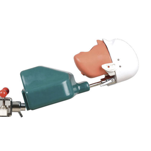 Trainingspuppe für Implantologie - JG-C1 - FOSHAN JINGLE MEDICAL EQUIPMENT CO., LTD - für Endodontie / für die Zahnhygiene / für Zahnextraktion