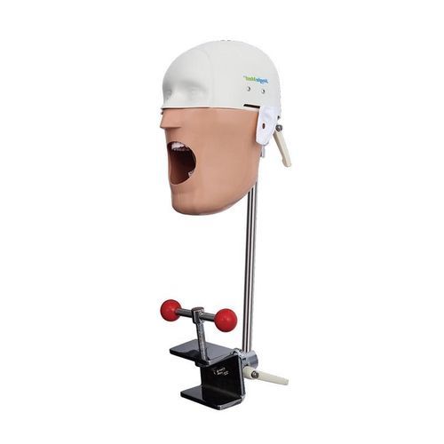 Trainingspuppe für die Zahnhygiene - JG-C5 - FOSHAN JINGLE MEDICAL EQUIPMENT CO., LTD - für Veterinärmedizin / für die Ausbildung / Erwachsene