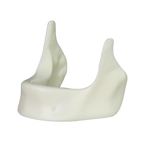 Anatomisches Modell / Unterkiefer - JG-Y12-Y - FOSHAN JINGLE MEDICAL EQUIPMENT CO., LTD - für Zahnbehandlung / chirurgisch / für Implantologie