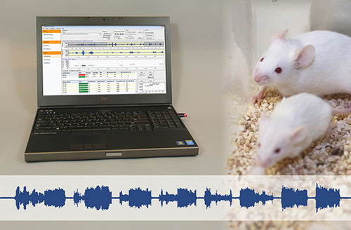 Software für die Tierforschung - UltraVox™ XT - Noldus - Labor / Analyse / Erfassung