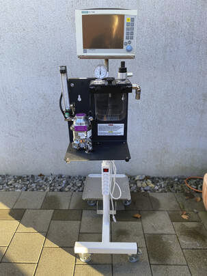 Anästhesiearbeitsplatz für Veterinärmedizin / für Kleintiere - Rothacher Medical - für Großtiere / auf Wagen