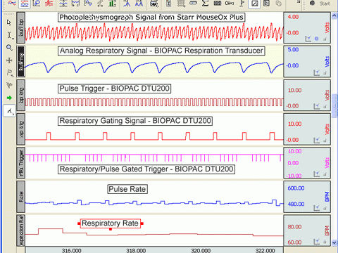 Atmungs-Photoplethysmograph - BIOPAC - STARR Life Sciences - für Tiere