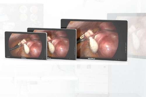 Medizinisch Monitor - Lianying Medical Technology - für Endoskopie / Full HD / 4K